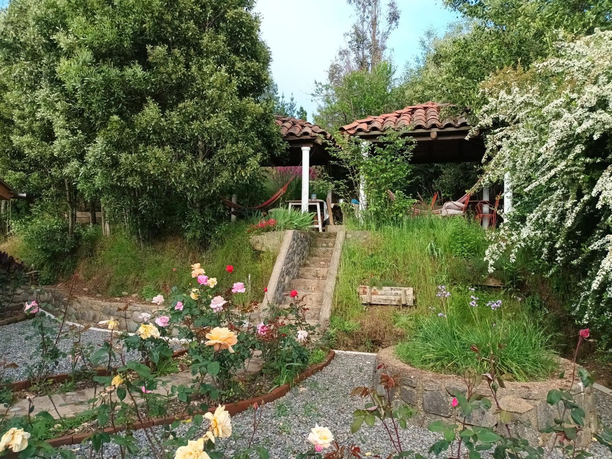 Casa La Pergola Vichuquén